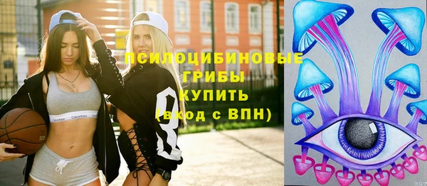 ПСИЛОЦИБИНОВЫЕ ГРИБЫ Навашино