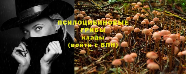 ПСИЛОЦИБИНОВЫЕ ГРИБЫ Навашино
