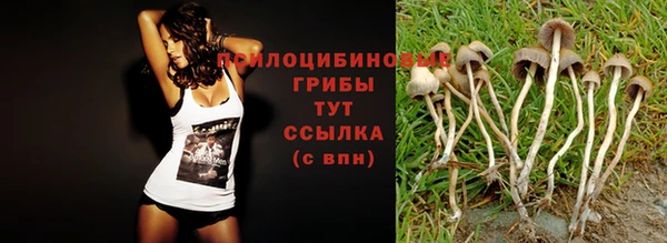 а пвп мука Надым