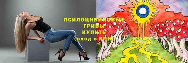 а пвп мука Надым